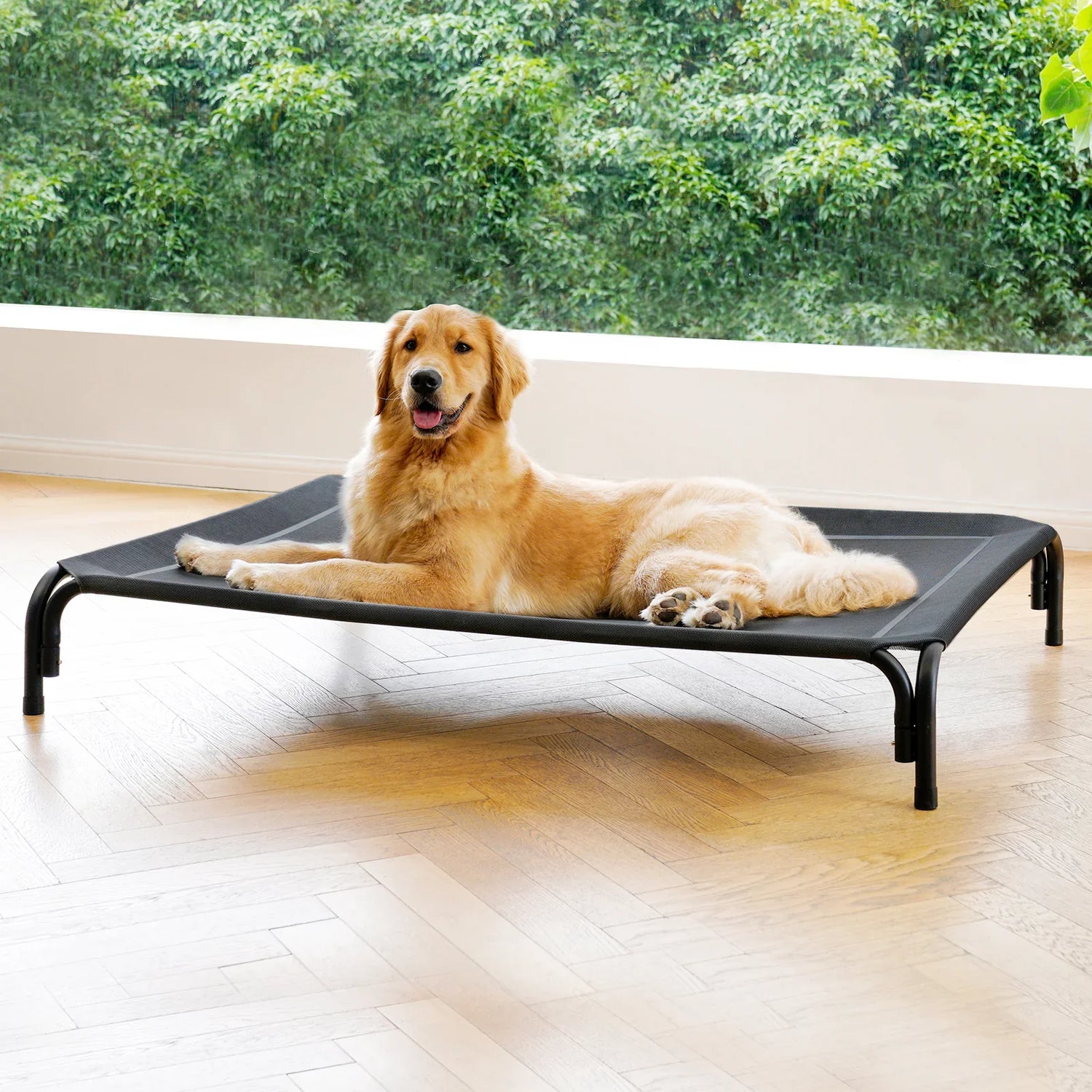 Elevated Beds